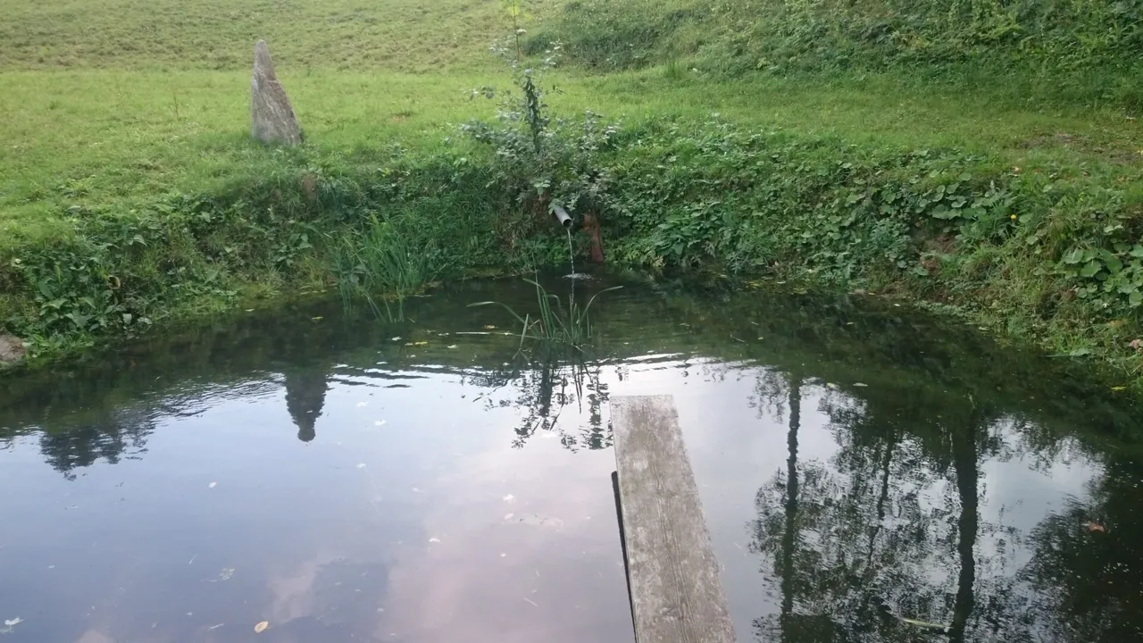 Terme Zreče