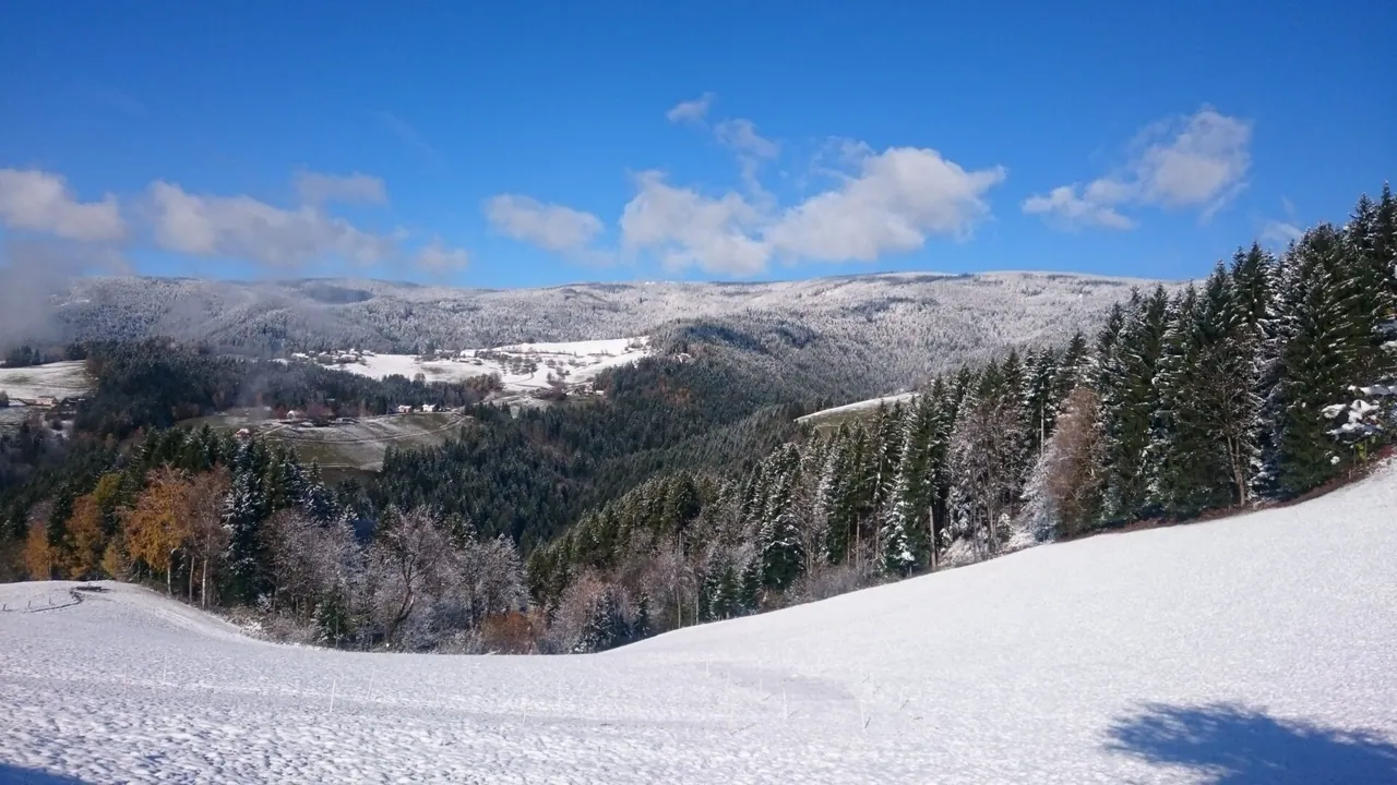 Zasnežena dolina pod Pohorjem